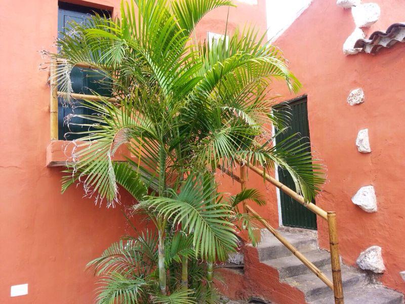 Apartmento Tabares Tejina Exterior photo